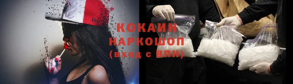 трава Аркадак