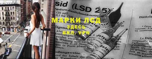 трава Аркадак