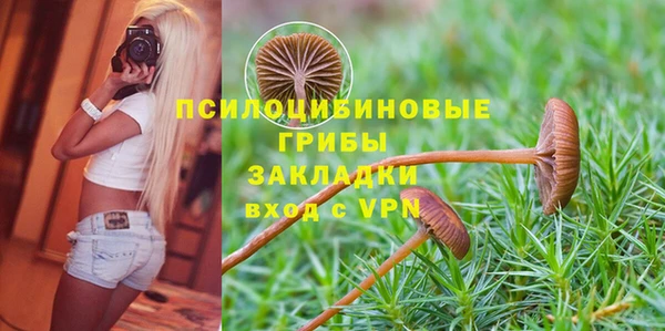трава Аркадак