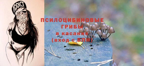 трава Аркадак