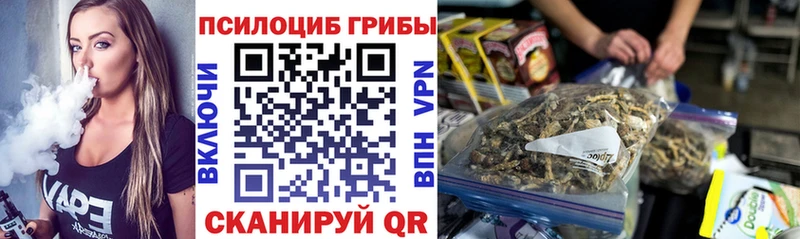 Псилоцибиновые грибы ЛСД  Судогда 